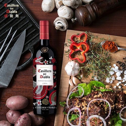 尊龙官方链接入口发布与使用说明 尊龙官方链接入口发布与使用说明